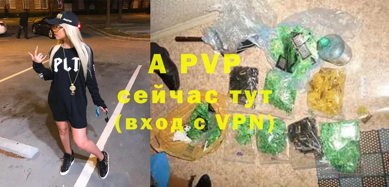 дарк нет как зайти  Динская  A PVP СК 